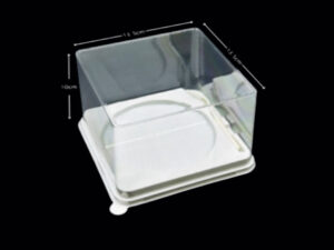 Plastic Box DT-279
