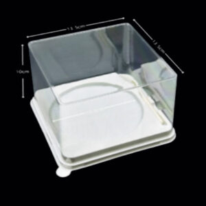 Plastic Box DT-279