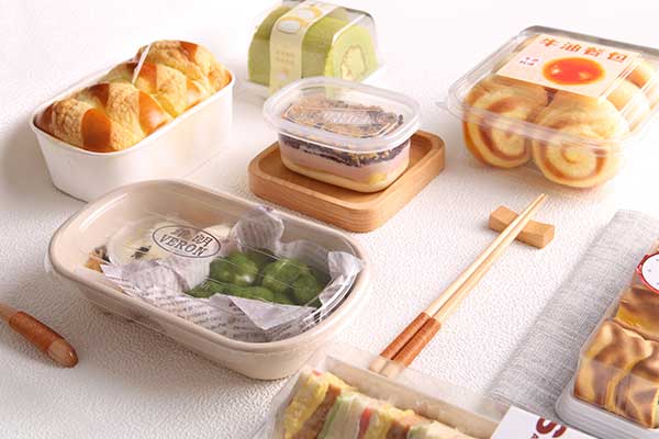 Transparent Blister Single Tray A196 application1