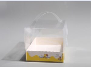 Fruit Flavor 011 from Paper Food Container Manufacturers