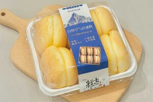 Secure Your Cakes: Premium Plastic Cake Boxes Wholesale Solutions